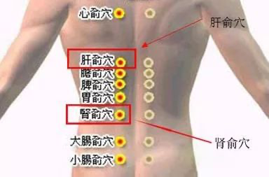 一年要掉多少头发?有人收集了一年发现:损失了一辆宝马!休闲区蓝鸢梦想 - Www.slyday.coM 一年要掉多少头发?有人收集了一年发现:损失了一辆宝马!休闲区蓝鸢梦想 - Www.slyday.coM