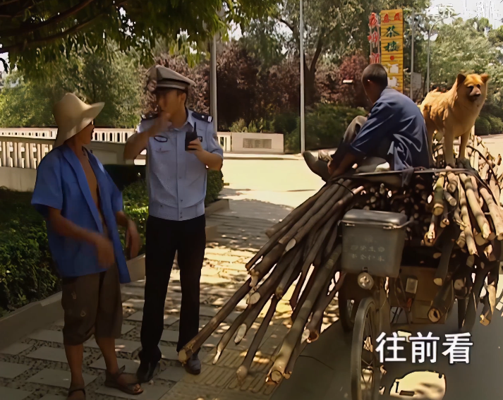 《谭谈交通》,这回我笑不出来了|谭谈交通|警官|大爷_新浪新闻