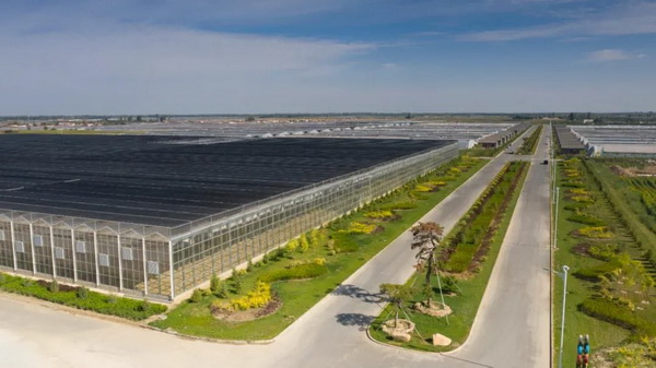 临河现代智慧农业尽显科技范儿|产业园|临河_新浪新闻