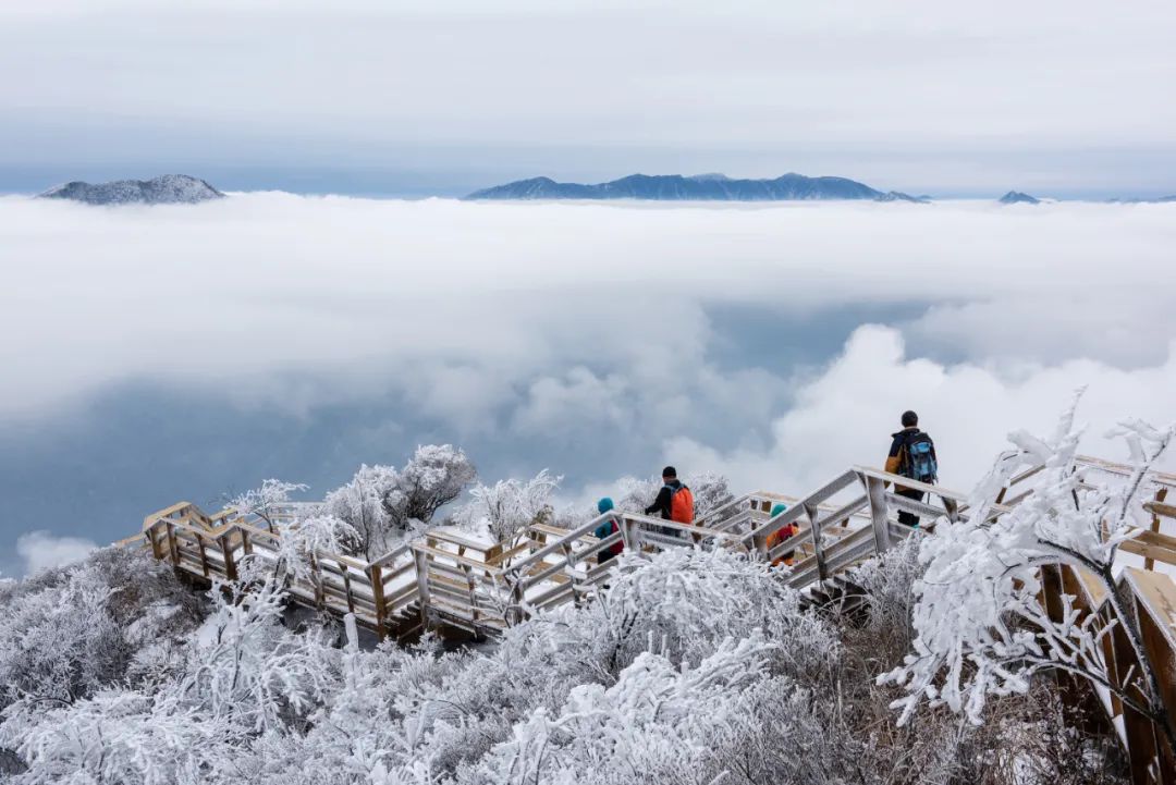 征集| "四海奇观 六合同春"龙游六春湖全国旅游摄影大展
