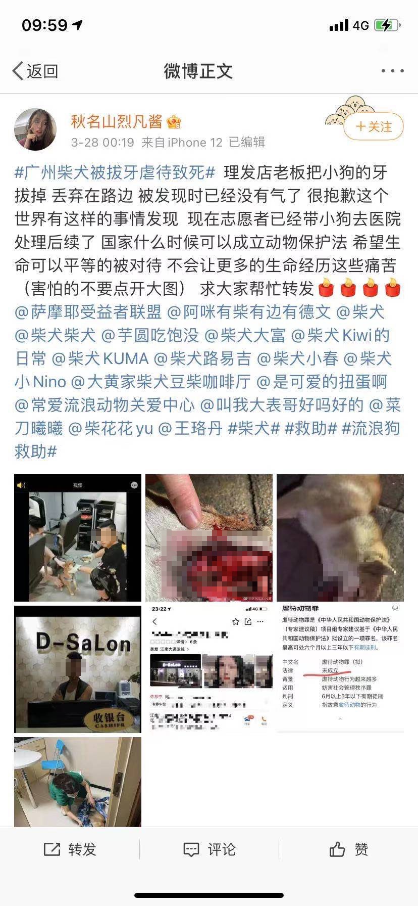 广州警方回应“柴犬遭一男子铁钳拔牙虐待致死”：已介入调查