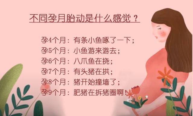 一般胎儿什么时候胎动活跃 6张动图告诉你 胎动时胎儿在干啥 胎动 胎教 孕妈 新浪新闻