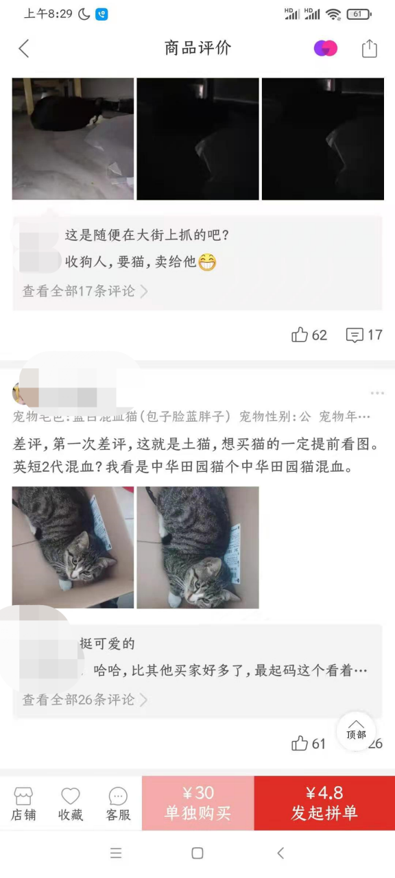 从宠物盲盒到在线“拼猫”，这些宠物商家有多损？休闲区蓝鸢梦想 - Www.slyday.coM