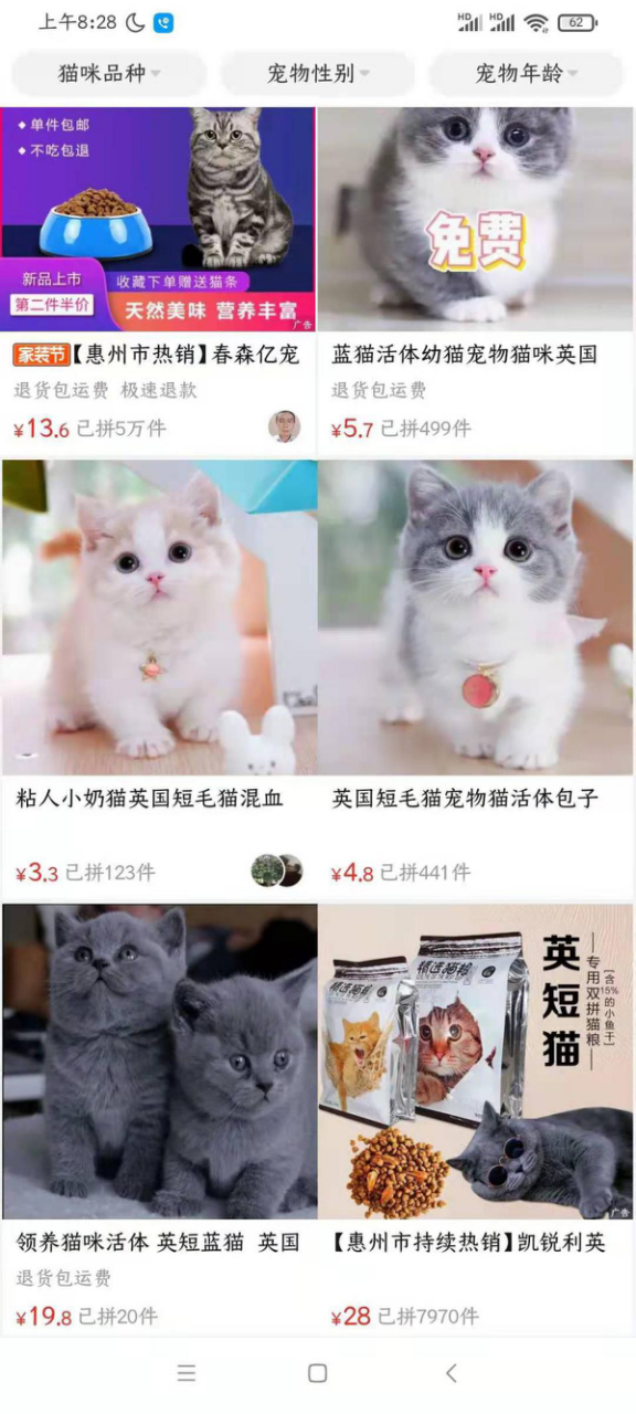 从宠物盲盒到在线“拼猫”，这些宠物商家有多损？休闲区蓝鸢梦想 - Www.slyday.coM