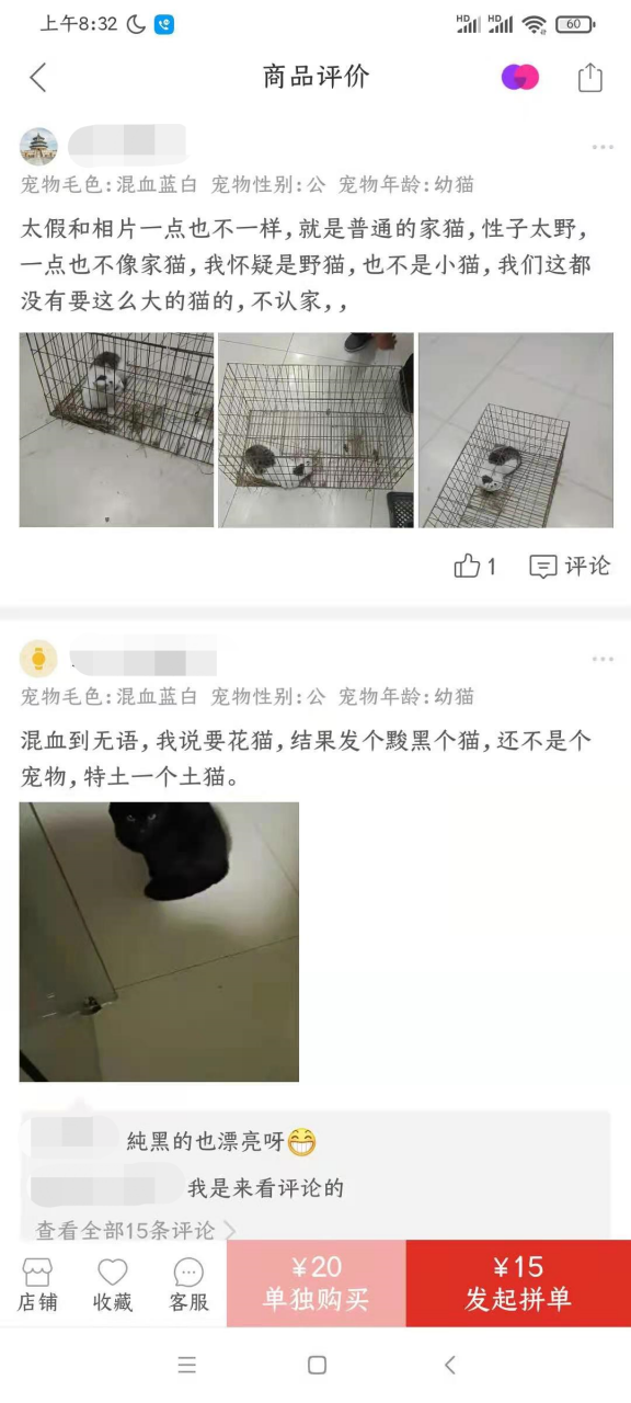 从宠物盲盒到在线“拼猫”，这些宠物商家有多损？休闲区蓝鸢梦想 - Www.slyday.coM