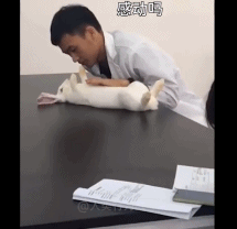 每日有趣gif图片医学生的广播体操