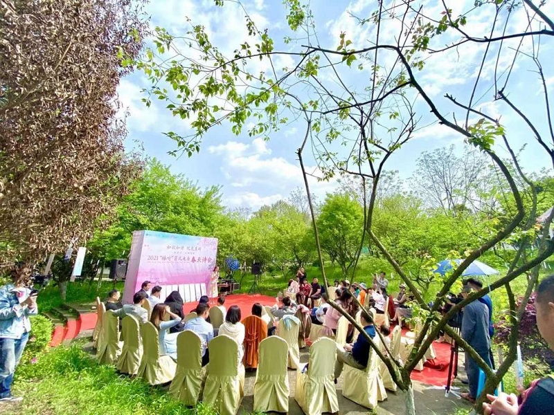 诗和远方林听菲儿电台举办春天诗会