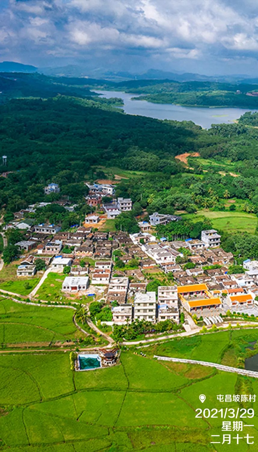 每日一景屯昌武术之乡坡陈村