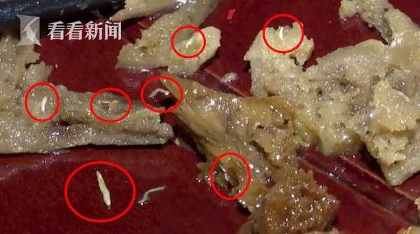 恶心家人聚餐吃出蛆状白虫店家正常这能吃
