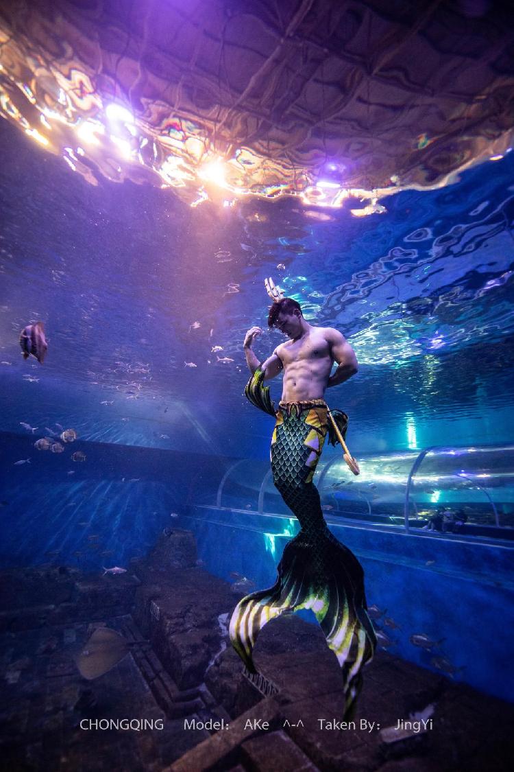 打卡水母星空看美男鱼大秀 重庆汉海"三八节"福利多