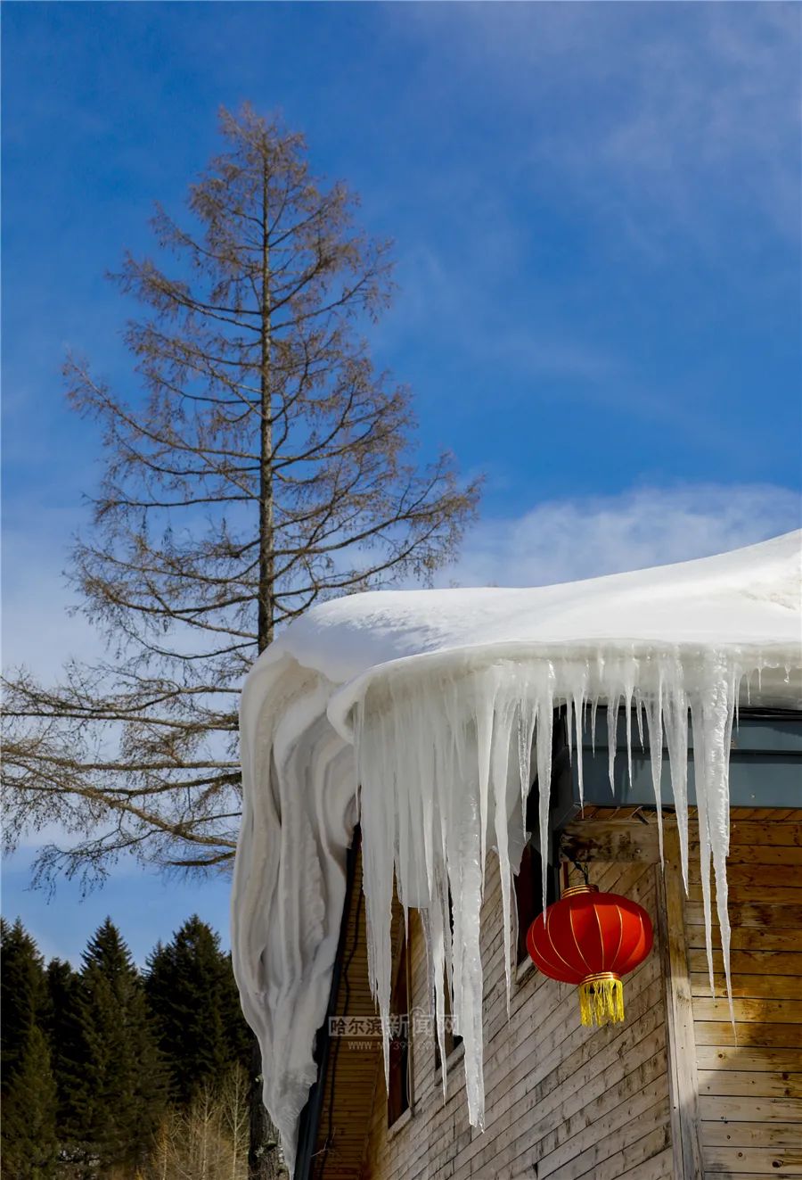 4日白 阴有雨夹雪 偏南风5-6级  6℃ 4日夜 多云有阵雪 偏西风4-5级