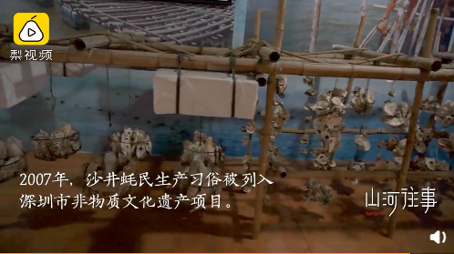 深圳闹市藏26万平方米千年古墟,宋代开始人工养蚝_手机新浪网