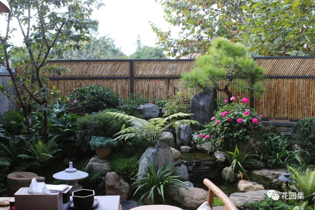 打造一座日式庭院 感受禅意之美 让心灵回归宁静 日本 日式 宁静 新浪新闻