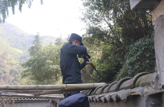 一道黑色影子闯进农家扑倒八旬老人杭州民警果断开枪击毙