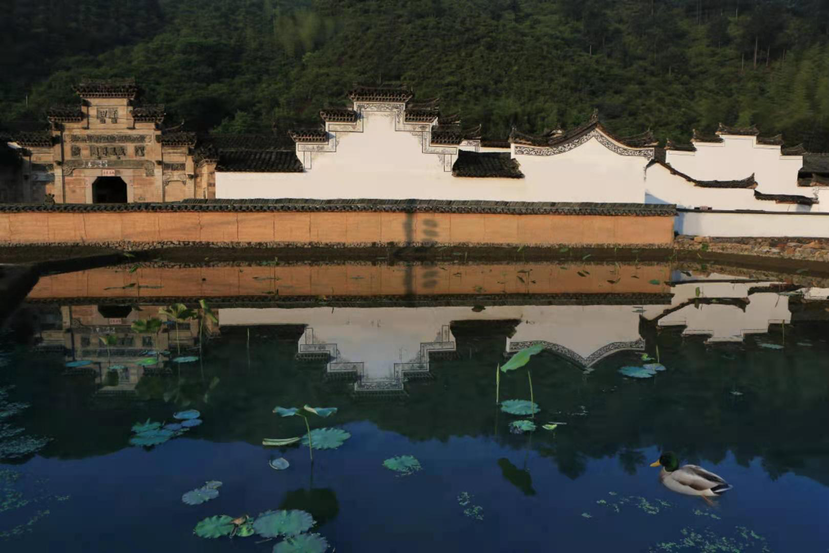 縣內還擁有100餘家中草藥鋪及眾多中醫世家,有