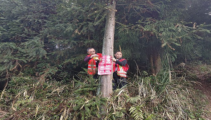 守定青山不放松！泸州叙永“林二代”替父守山护林35年