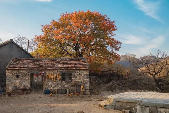 跟着王丽坤去打卡!日照这些地方火遍全国了!你去过哪个?