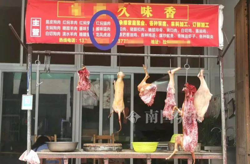 广东猫肉馆图片