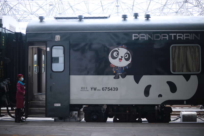 熊猫专列车图片图片