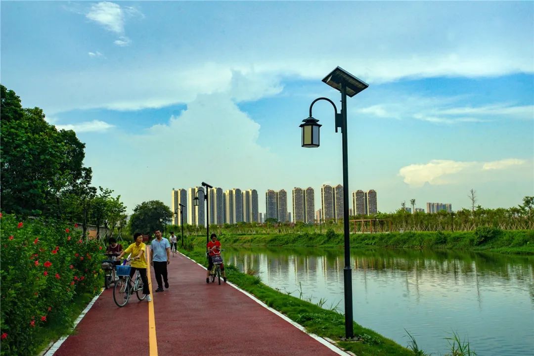 骄傲道滘这项工作成绩突出又上榜啦