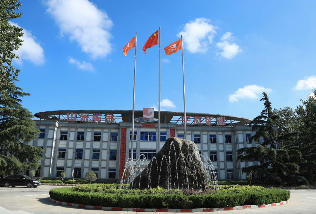 净利润大涨超七成山东黄金表示十四五还有大动作