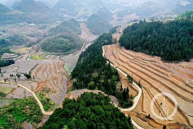 重庆黔江:山地宜机化田里春耕忙