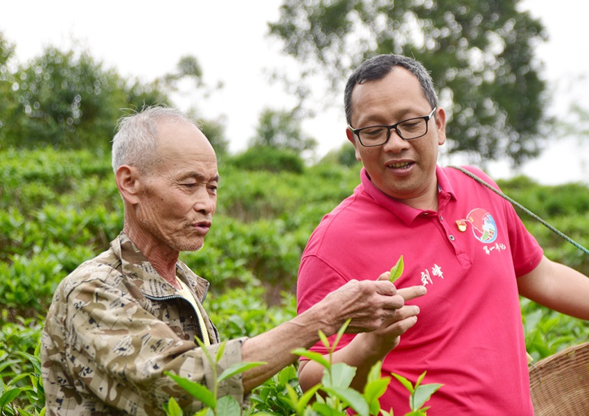 韦世仙摄人民网上思3月30日电 阳春三月,广西防城港市上思县的凤凰山