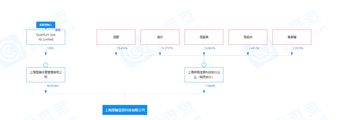 vspn股东(vspn靠什么盈利)