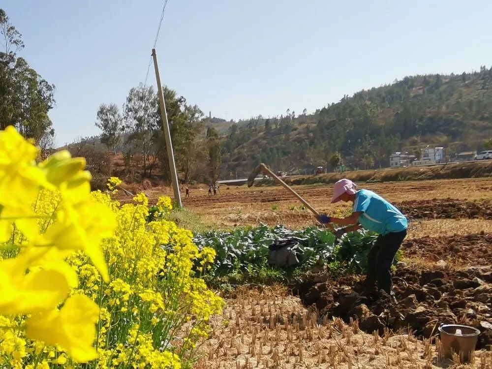 人勤春来早全国春耕春播气象服务工作全面启动