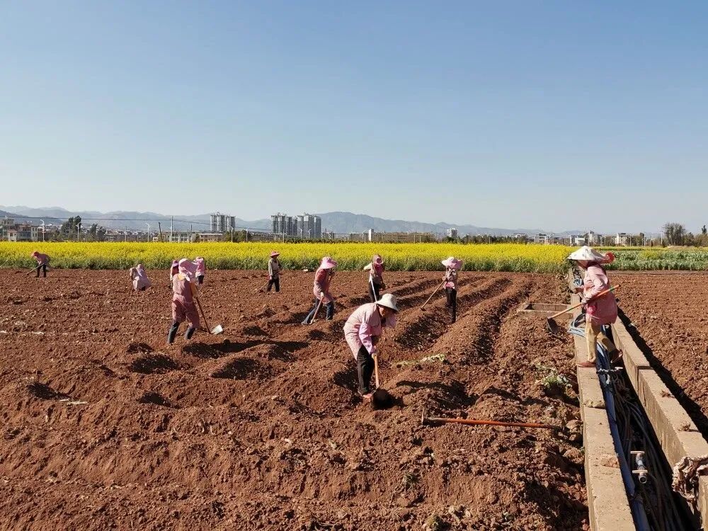 人勤春来早全国春耕春播气象服务工作全面启动