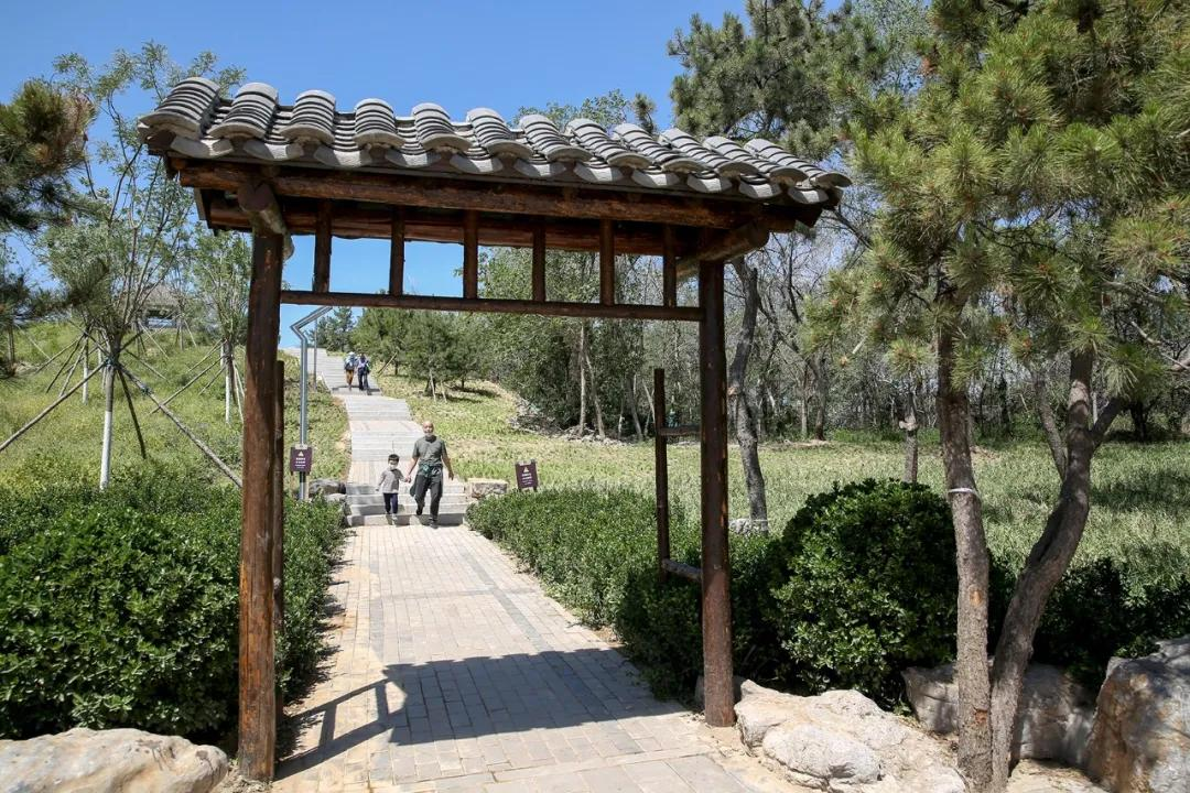 松林公园位于石景山区东南部,北侧紧邻97安街西延石景山路,东侧为西
