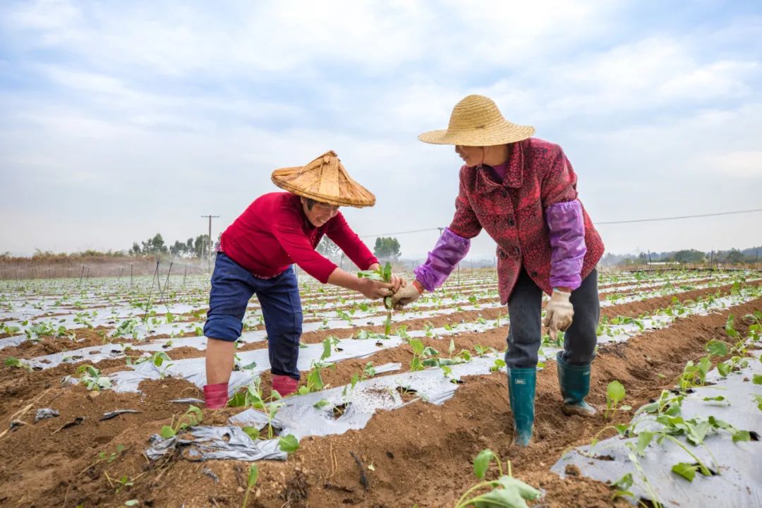 人勤春来早全国春耕春播气象服务工作全面启动