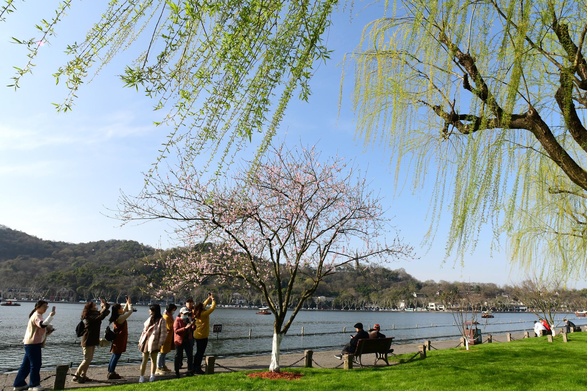 西湖春色醉游人