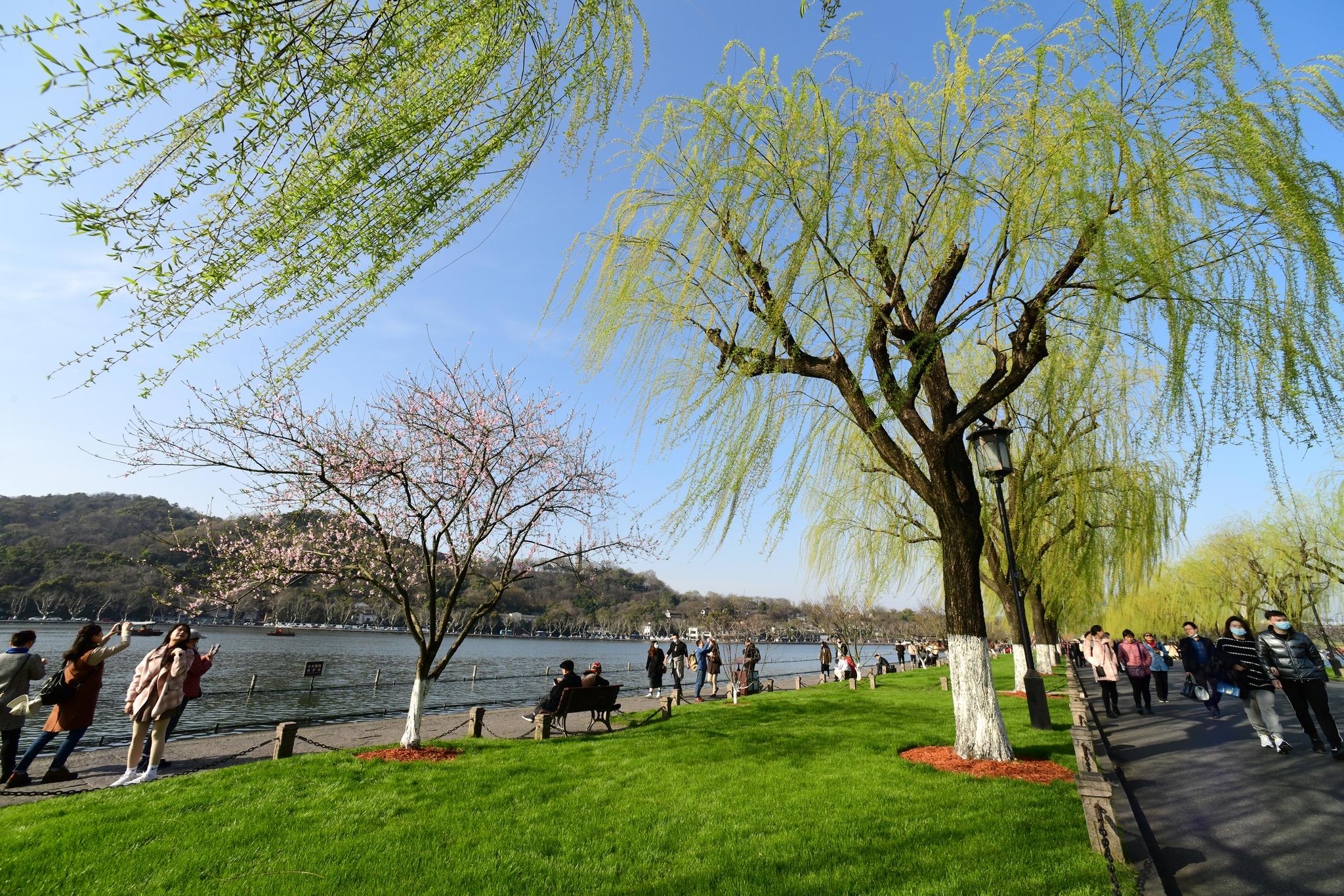 西湖春色醉游人