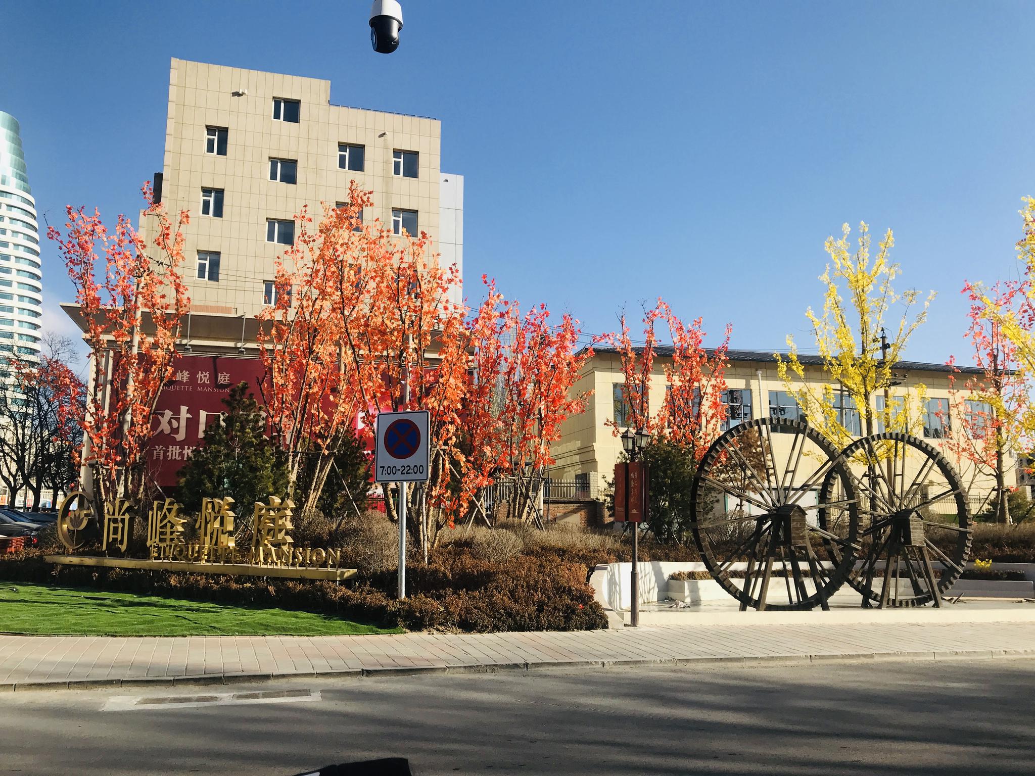 12所幼儿园,小学,初中实景动态|张家口|北京|小学_新浪新闻