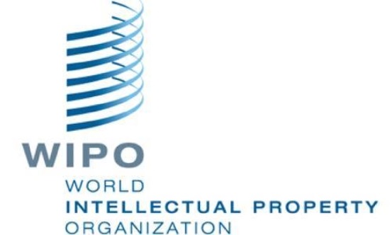 世界知识产权组织中国专利申请量连续两年超过美国