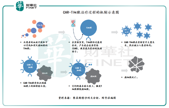 科济药业赴港IPO：百亿级CAR-T市场之下的“危”与“机”