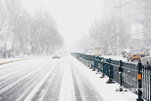 大雪纷飞哈尔滨天地浑然一体市民冒雪出行