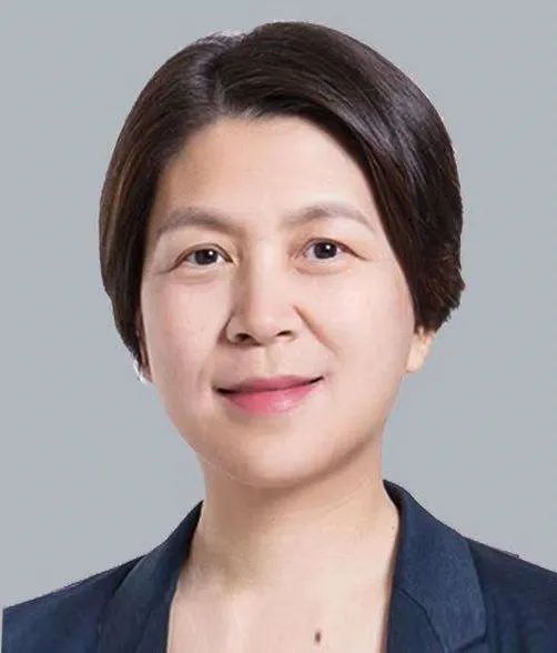 两会专访丨全国政协委员中投公司副总经理赵海英国际形势危与机并存