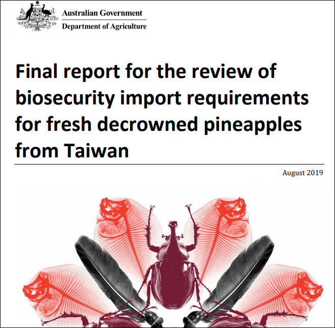 澳政府关于台湾菠萝的生物安全评估报告截图