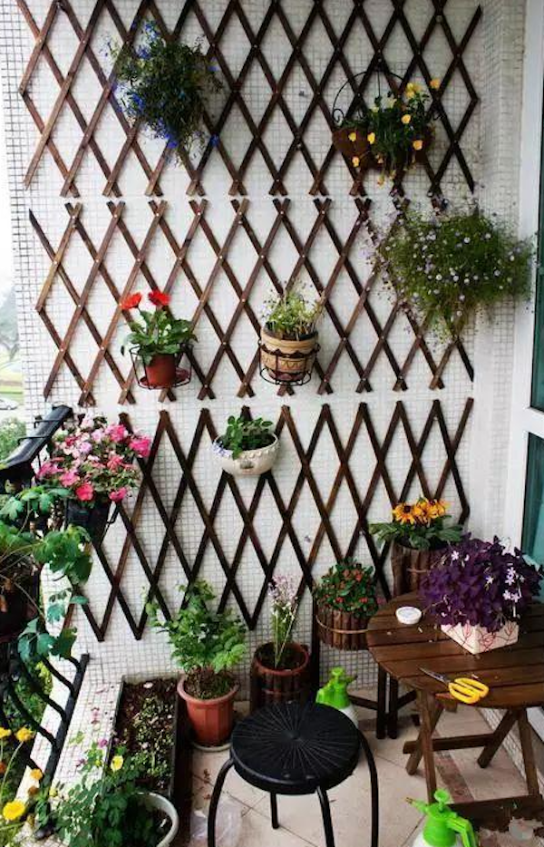 墙壁式与立式花架搭配