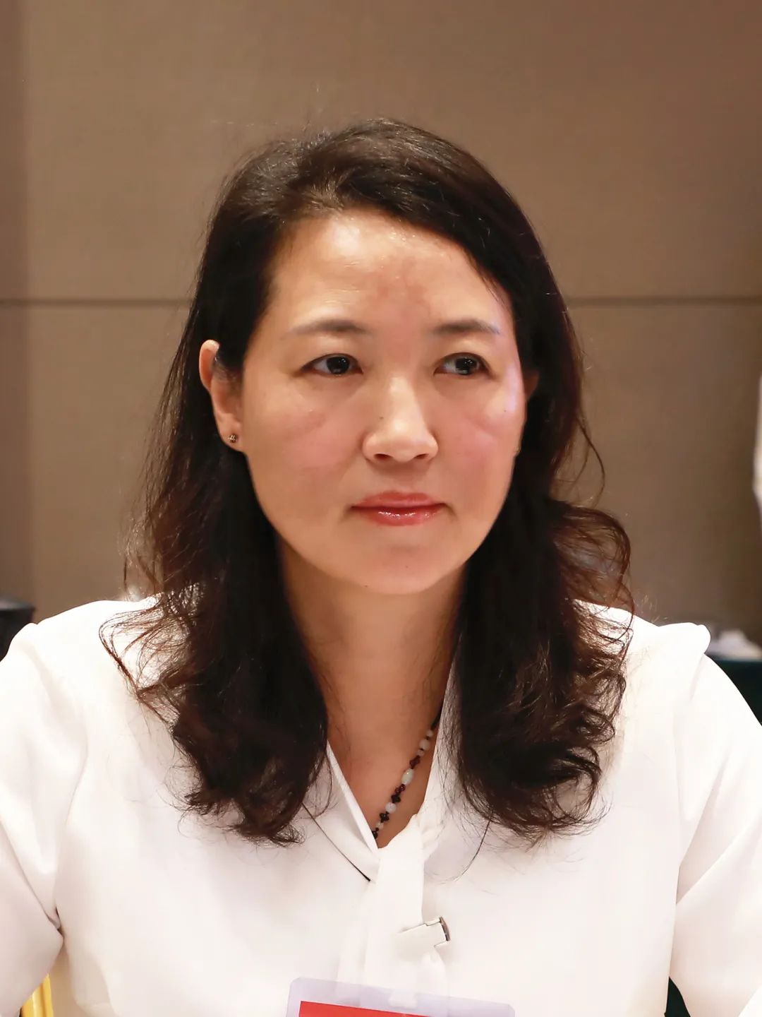 吴娟,金晶,谷凤杰,高桂英:为乡村振兴提供长远检察助力