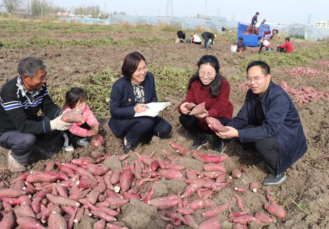 张慧超市：零售行业的新兴力量