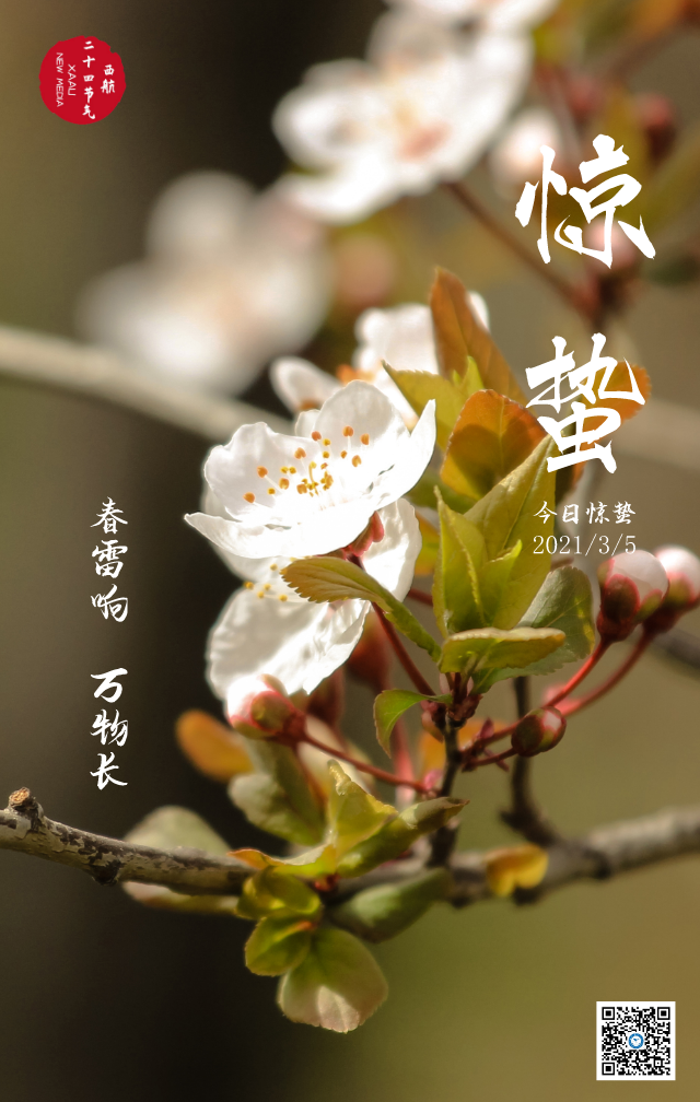今日惊蛰万物萌动