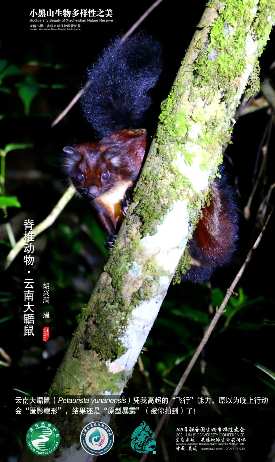 cop15北纬24度看云南生物多样性的魅力