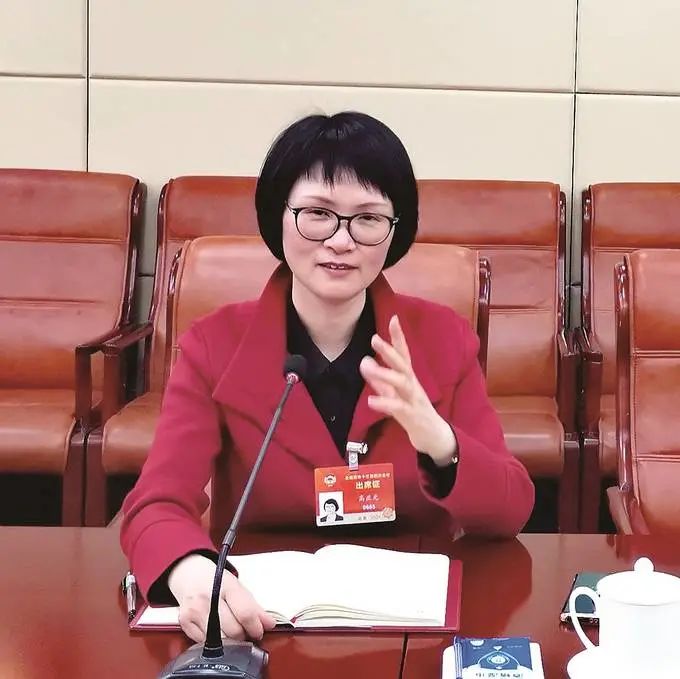 两会云访谈科技自立自强怎么立如何强