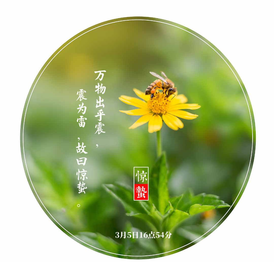 海报▏今日惊蛰万物复苏