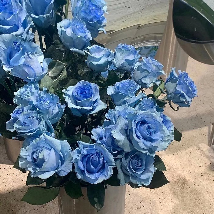 小杨在花店看到的进口染色蓝玫瑰，售价为99元/支
