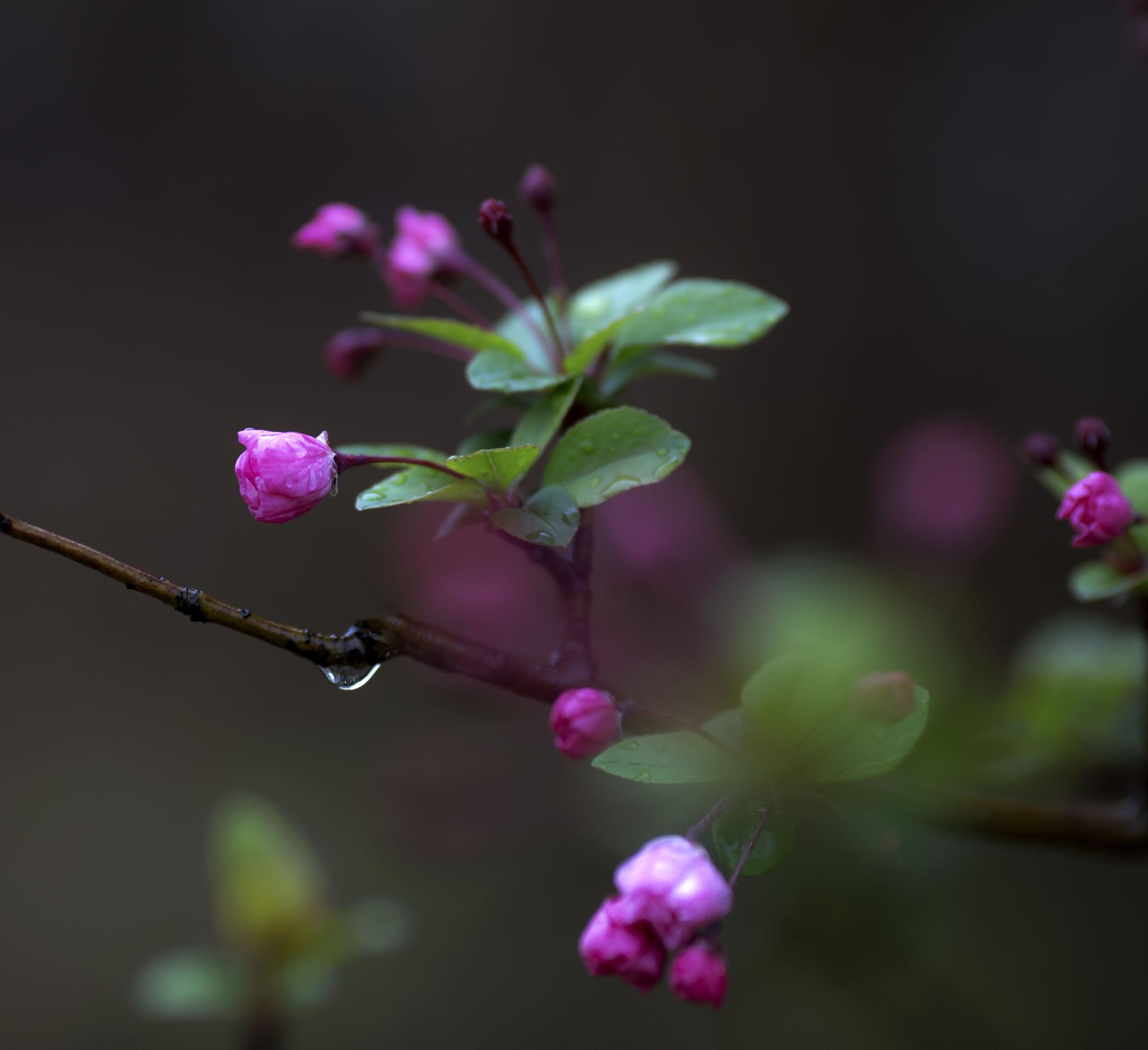 摄影师驾到丨惊蛰到!