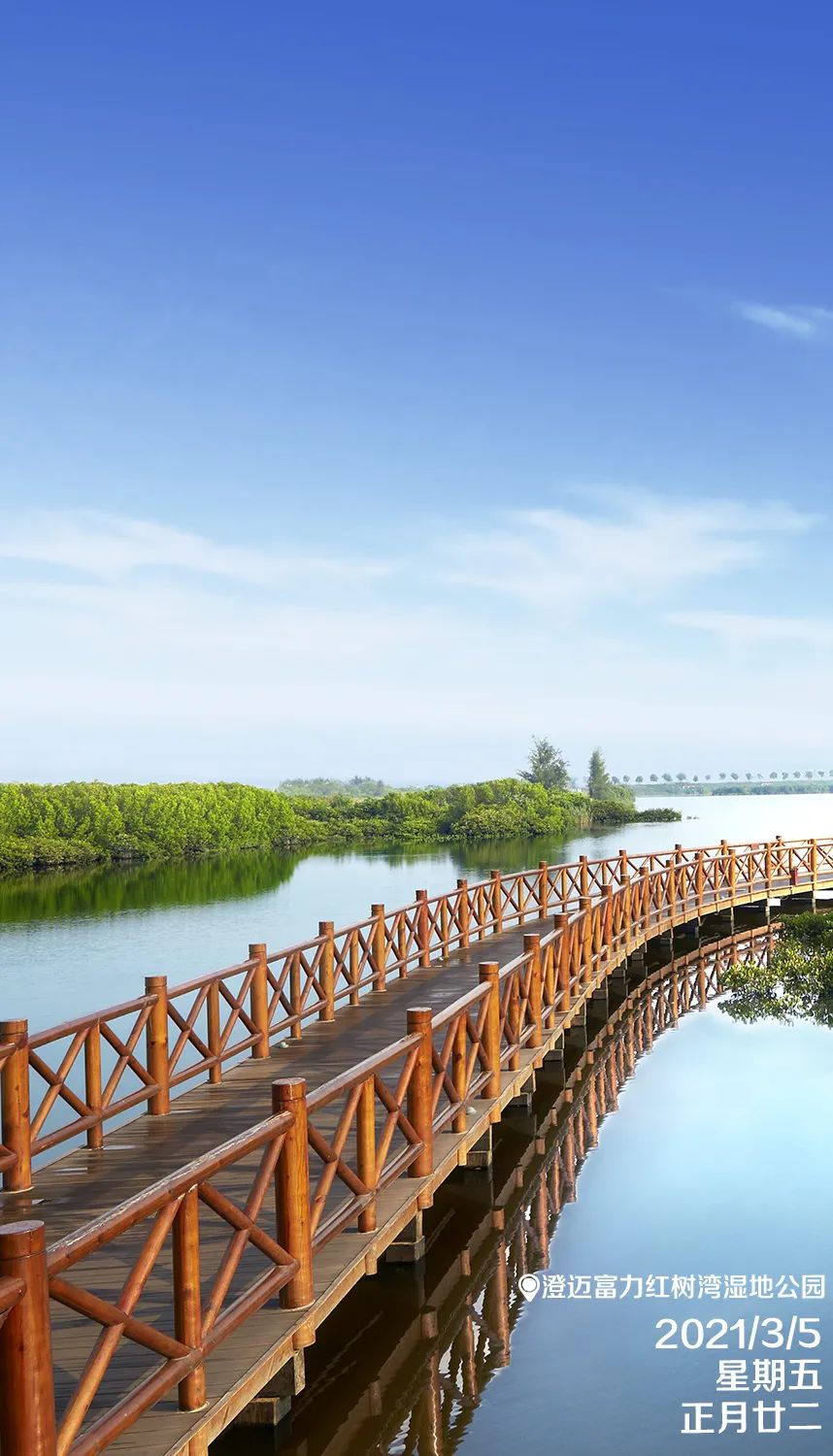 每日一景|澄迈富力红树湾湿地公园|海南_新浪新闻